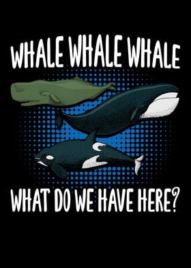 Whale Whale Whale