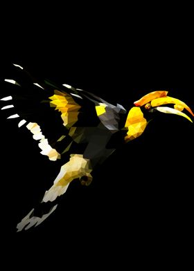 Hornbill