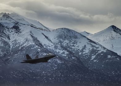 Raptor in Alaska