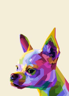 Colorful head chihuahua