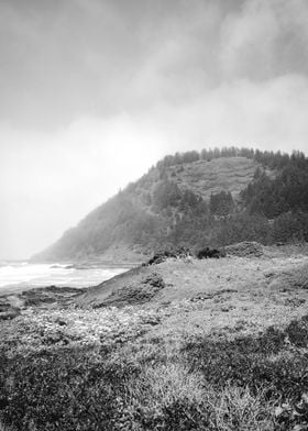 Oregon Coast Ocean Fog PNW