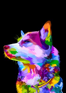 Colorful husky dog