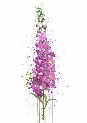 Flower Delphiniums