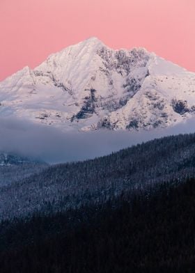 Snowy Mountain and Forest