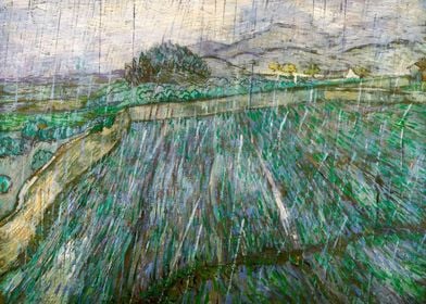 Wheat field in the rain