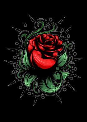 Amazing Rose