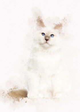 Watercolor Cat Cute