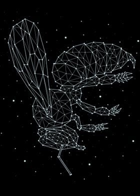 constellation animal 3