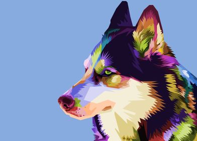 Colorful husky dog