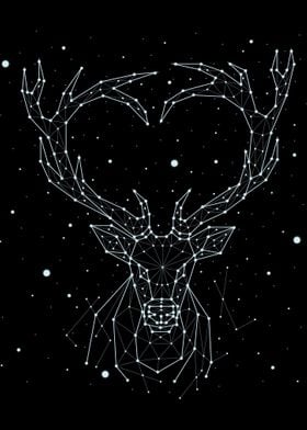 constellation animal 8