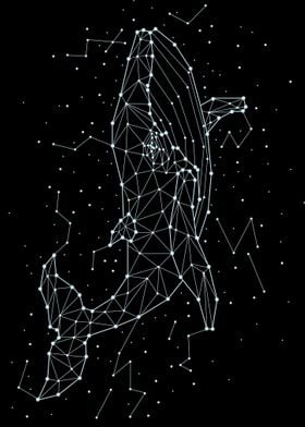 constellation animal 5