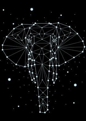 constellation animal 9