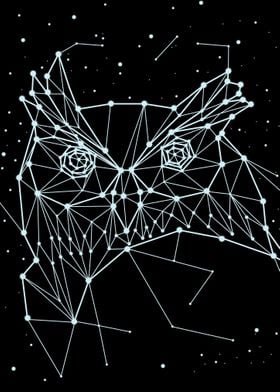 constellation animal 1