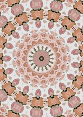 Elegant pink rose mandala