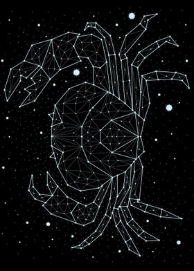 constellation animal 7