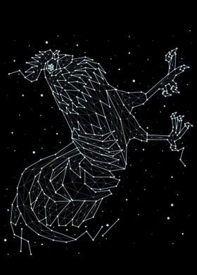 constellation animal 6