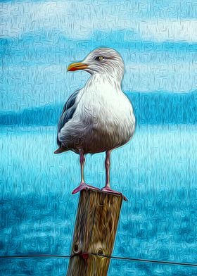 Seagull