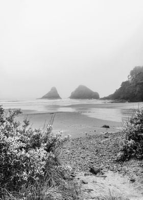 Oregon Coast Beach PNW