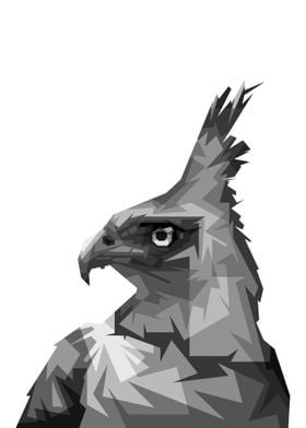 Grayscale Javanese Eagle