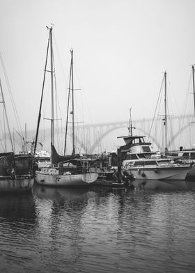 Orgeon Coast Sailboats PNW