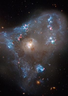 Spiral Galaxy NGC 2445