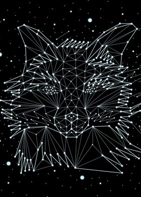 constellation animal 10