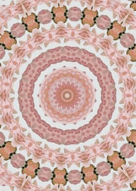 Pink rose kaleidoscope