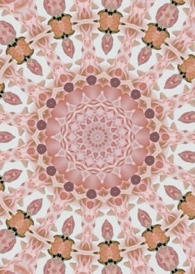 Pink mandala kaleidoscope