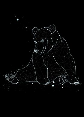 constellation animal 2 