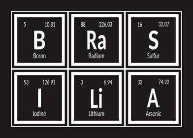 Elements of Brasilia