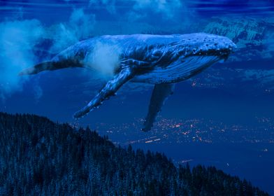 Mountain Whale