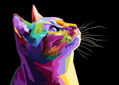 Colorful cat