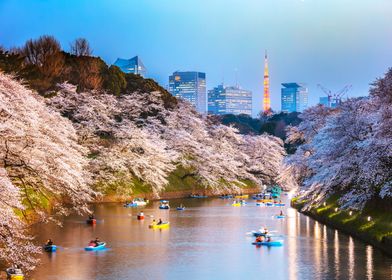 Chidorigafuchi moat Tokyo