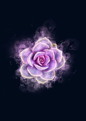 succulent  flower smoke 