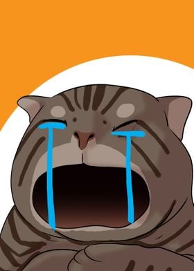 funny crying cat