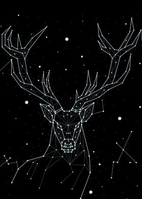 constellation animal 11 de