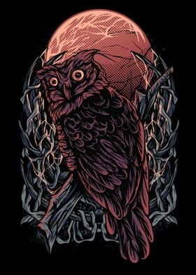 Owl darkness