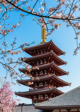 Pagoda and cherry tree