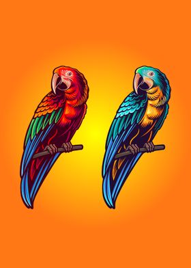 Two colours of parrot