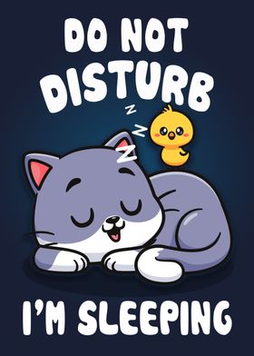 Cat Sleep Dont Disturb