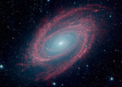 Galaxy M81 in Infrared 2