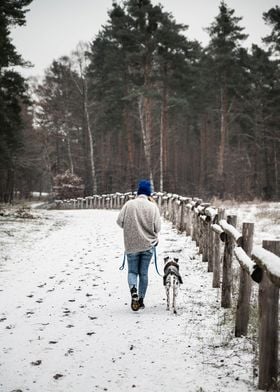 Dog walk with dalmatian
