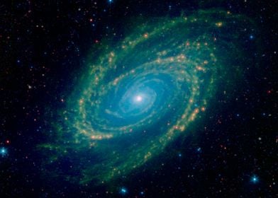 Infrared View M81 Galaxy