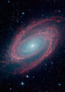 Galaxy M81 in Infrared
