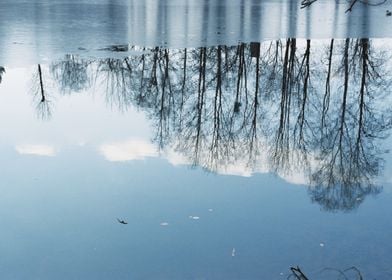 Frozen Reflections 