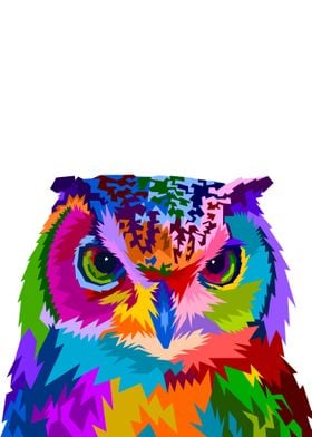 Colorful owl with style