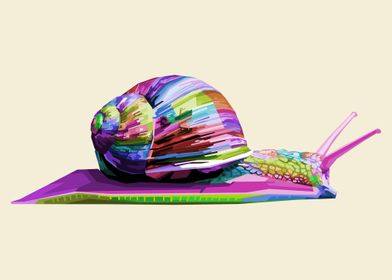 Colorful snail geometric