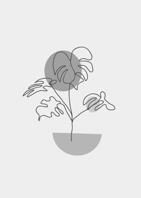 minimalist leaf monstera