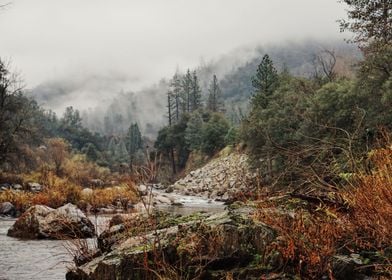 Foggy Autumn Hill