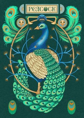 Peacock